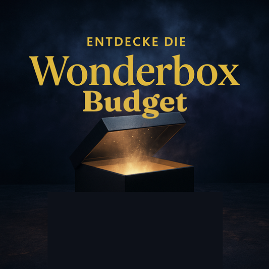 Wonderbox Budget - Mystery Paket